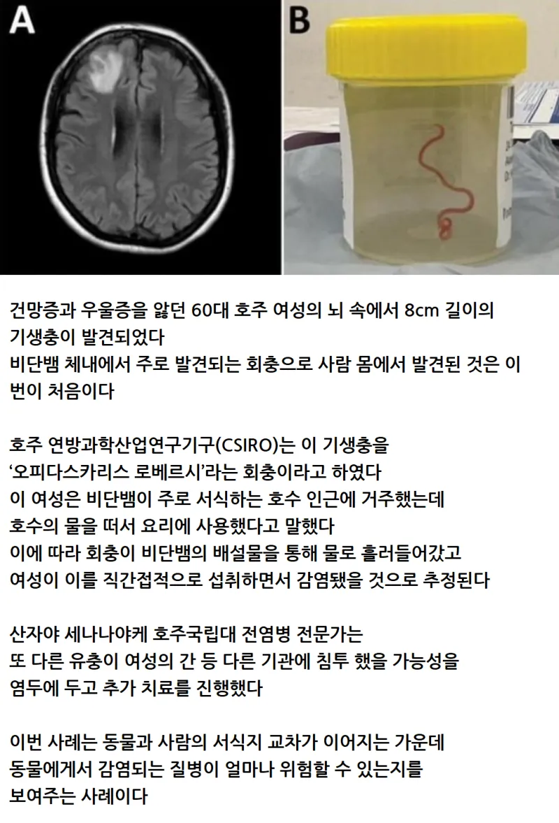 2ecda38bcdbdcf212c1717aceaf510ca_1710217773_3102.png